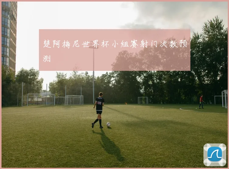 楚阿梅尼世界杯小组赛射门次数预测