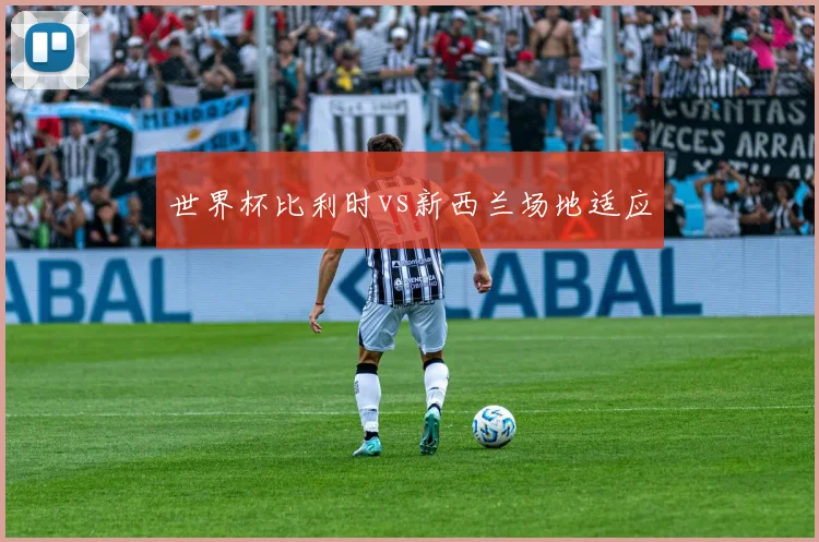 世界杯比利时vs新西兰场地适应